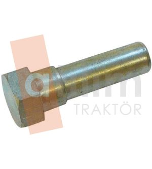 FT06-060