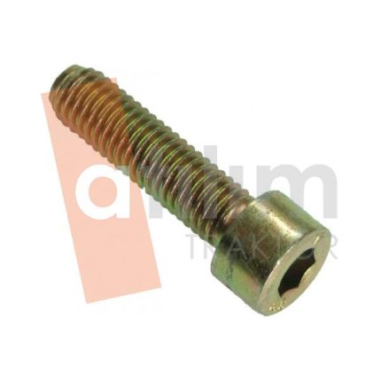 Fiat 55/46 Hidrolik Filtre Bağlantı Civatası-Kısa